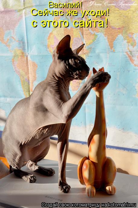 Котоматрица: Василий!  Сейчас же уходи! с этого сайта!