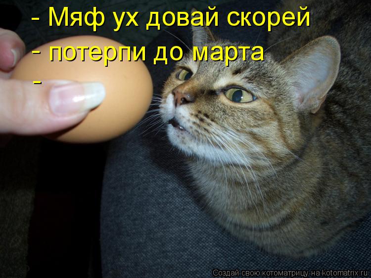 Котоматрица: Мяф ух довай скорей - - потерпи до марта -