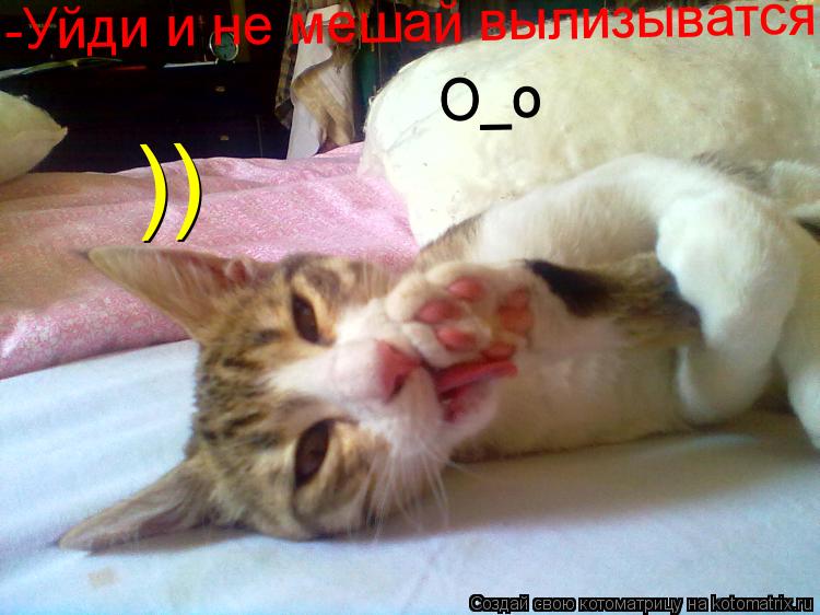 Котоматрица: -Уйди и не мешай вылизыватся  О_о О_о ))