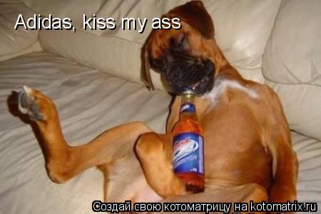 Котоматрица: Adidas, kiss my ass