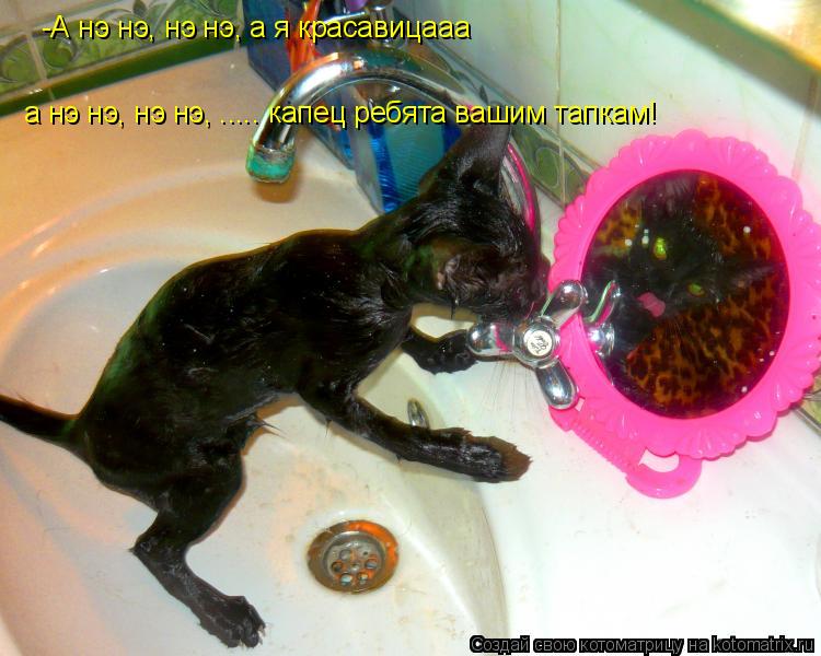 Котоматрица: -А нэ нэ, нэ нэ, а я красавицааа а нэ нэ, нэ нэ, ..... капец ребята вашим тапкам!
