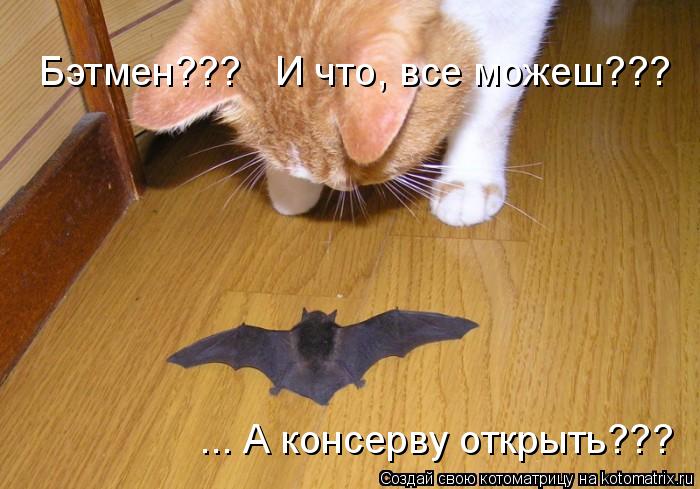 Котоматрица: Бэтмен???   И что, все можеш??? ... А консерву открыть???