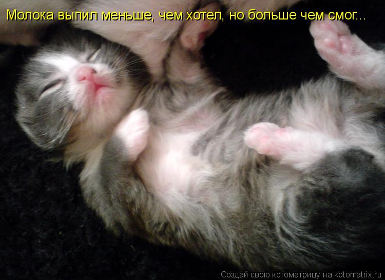 Котоматрица: Молока выпил меньше, чем хотел, но больше чем смог...