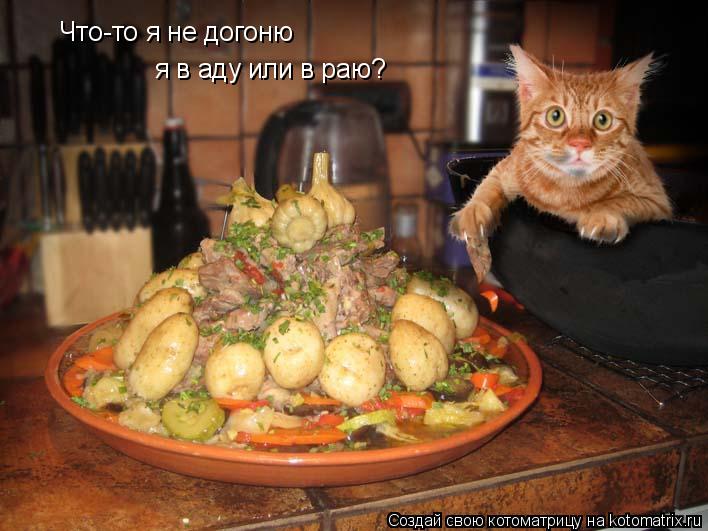 Котоматрица: Что-то я не догоню я в аду или в раю?