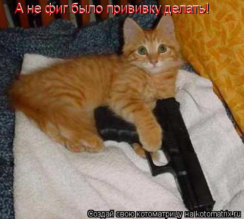 Котоматрица: А не фиг было прививку делать! А не фиг было прививку делать!