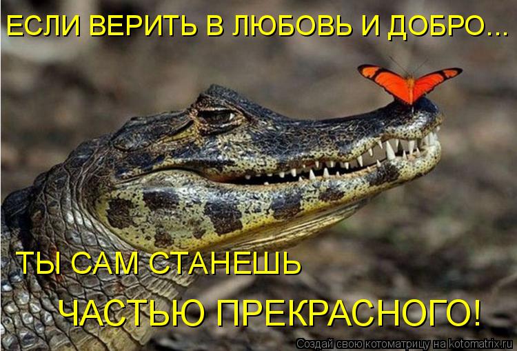 Котоматрица: ЕСЛИ ВЕРИТЬ В ЛЮБОВЬ И ДОБРО... ТЫ САМ СТАНЕШЬ  ЧАСТЬЮ ПРЕКРАСНОГО!
