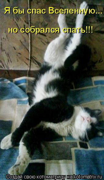 Котоматрица: Я бы спас Вселенную...  но собрался спать!!!