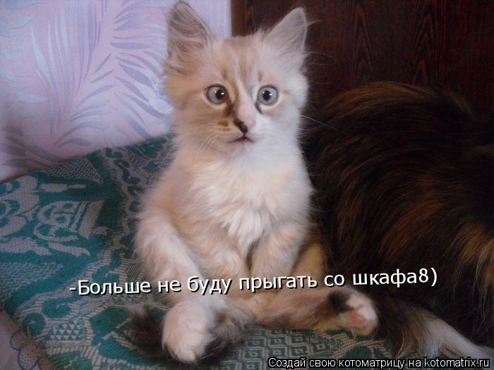 Котоматрица: -Больше не буду прыгать со шкафа8)
