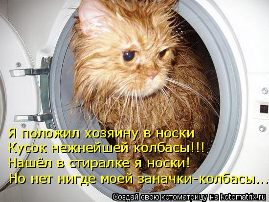 Я положил хозяину в носки Кусок нежнейшей колбасы!!! Нашёл в стиралке я носки! Но нет нигде моей зана... Котоматрица: Я положил хозяину в носки Кусок нежнейшей колбасы!!! Нашёл в стиралке я носки! Но нет нигде моей заначки-колбасы...