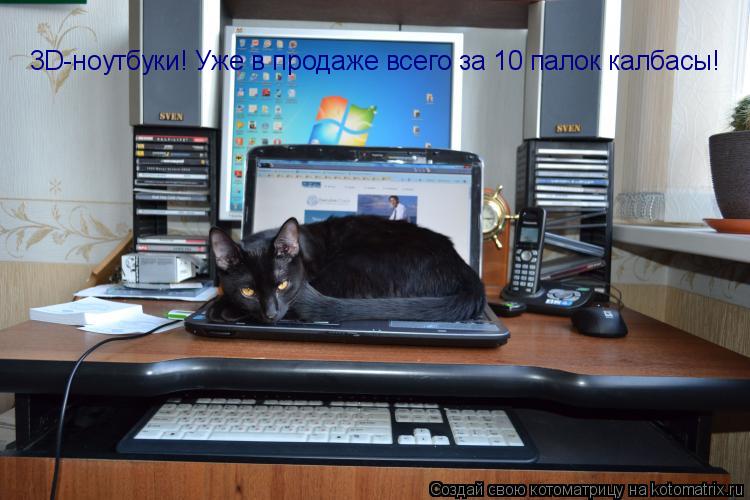 Котоматрица: 3D-ноутбуки! Уже в продаже всего за 10 палок калбасы!