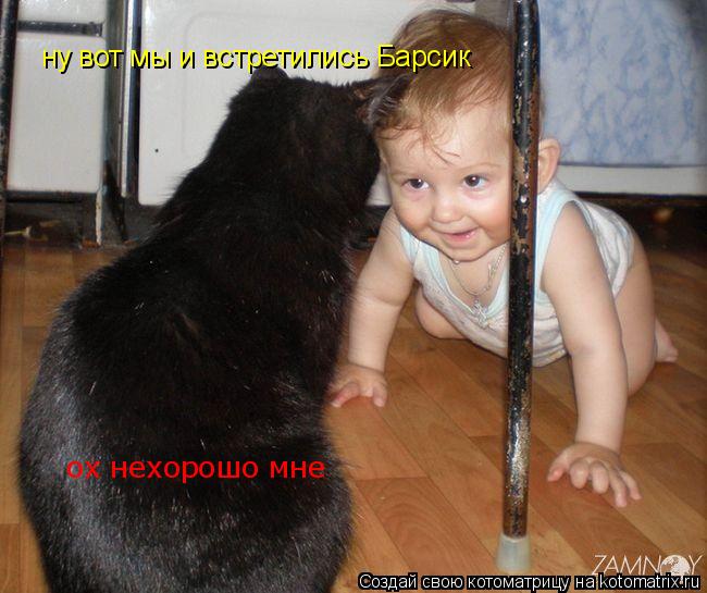 Котоматрица: ну вот мы и встретились Барсик ох нехорошо мне