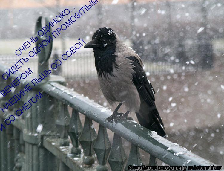 Котоматрица: ОЧЕНЬ ОДИНОКО... СИДЕТЬ ОДНОЙ ПРОМОЗГЛЫМ ВЕЧЕРОМ  ВЕЧЕРОМ  НАЕДИНЕ ЛЬШЬ СО СОБОЙ И СО СНЕГОМ...