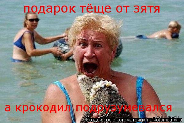 Котоматрица: подарок тёще от зятя а крокодил подрузумевался