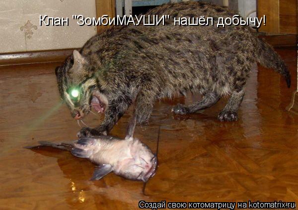 Котоматрица: Клан "ЗомбиМАУШИ" нашёл добычу!