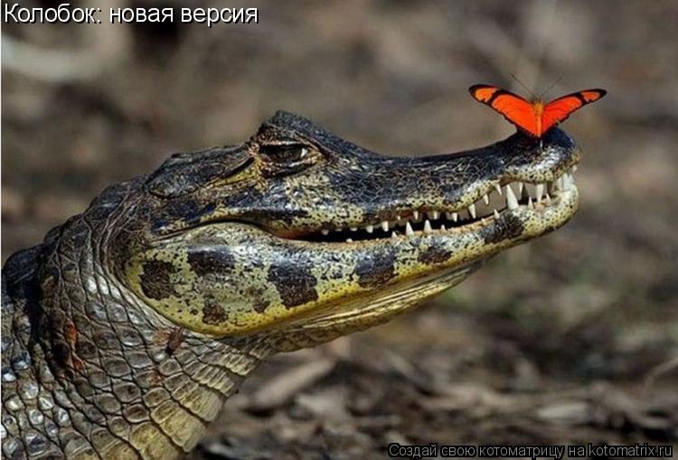 Котоматрица: Колобок: новая версия