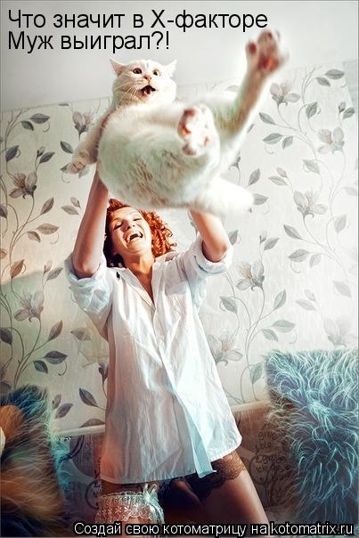 Котоматрица: Что значит в Х-факторе Муж выиграл?!