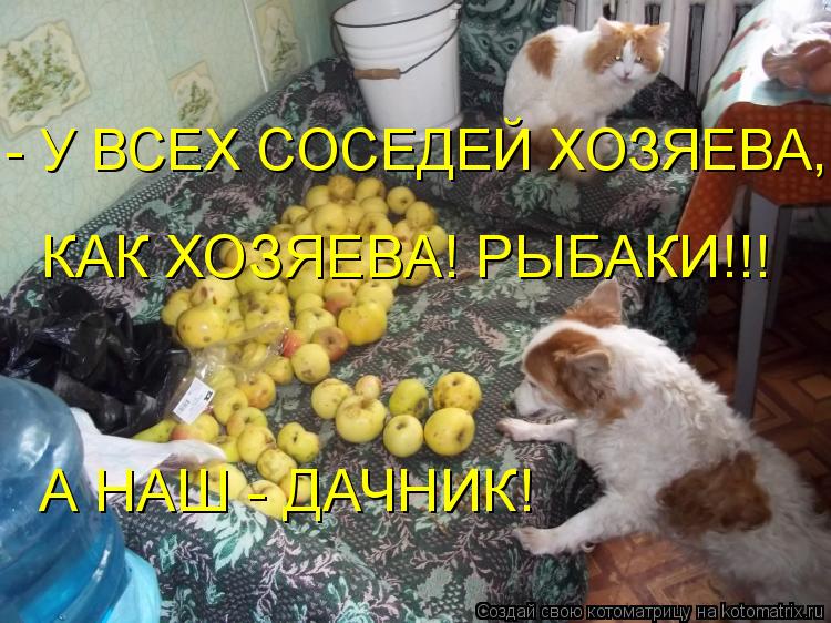 Котоматрица: КАК ХОЗЯЕВА! РЫБАКИ!!! А НАШ - ДАЧНИК! - У ВСЕХ СОСЕДЕЙ ХОЗЯЕВА,