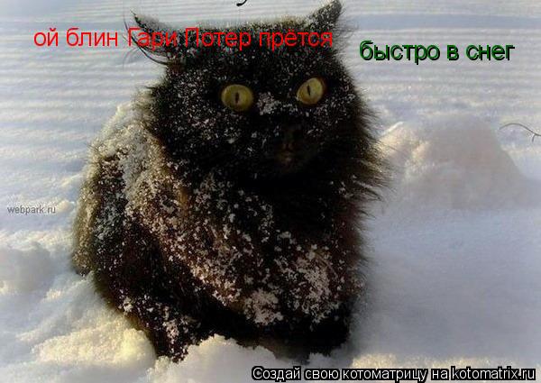 Котоматрица: ой блин Гари Потер прётся быстро в снег