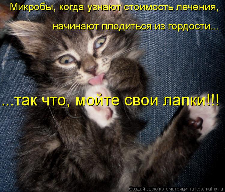 Котоматрица: Микробы, когда узнают стоимость лечения,   начинают плодиться из гордости...  ...так что, мойте свои лапки!!!