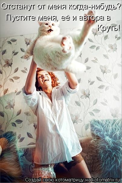 Котоматрица: Отстанут от меня когда-нибудь? Пустите меня, её и автора в  Круть!