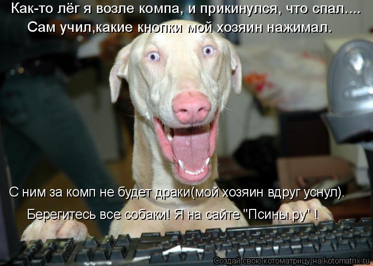 Котоматрица: Как-то лёг я возле компа, и прикинулся, что спал.... Сам учил,какие кнопки мой хозяин нажимал. С ним за комп не будет драки(мой хозяин вдруг усн