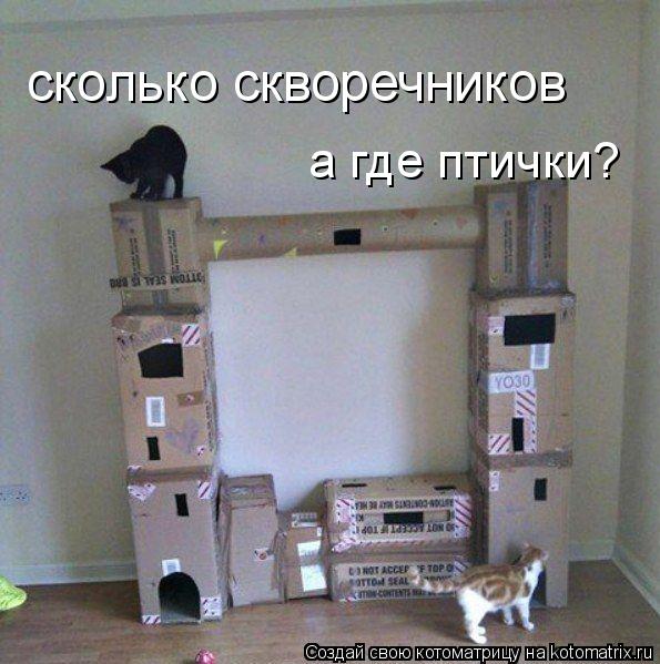 Котоматрица: сколько скворечников а где птички?