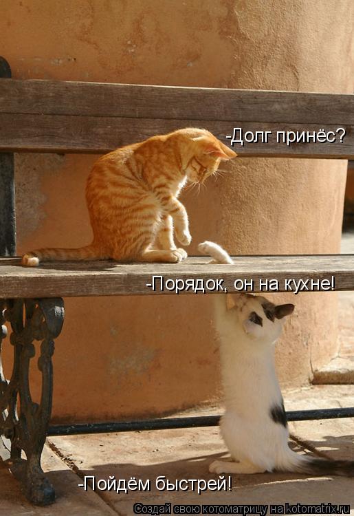 Котоматрица: -Долг принёс? -Порядок, он на кухне! -Пойдём быстрей!