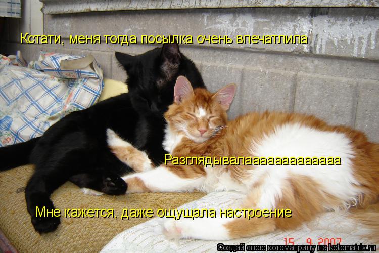 Котоматрица: Кстати, меня тогда посылка очень впечатлила Разглядывалааааааааааааа Мне кажется, даже ощущала настроение