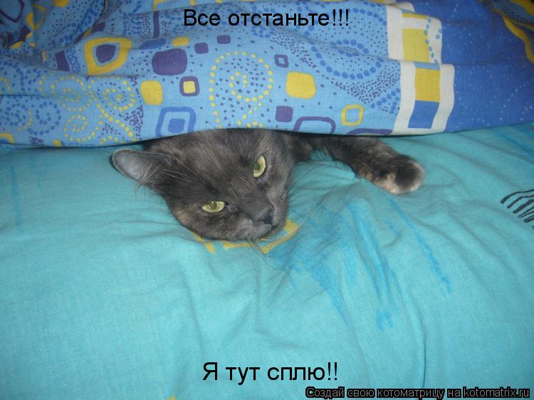 Все отстаньте!!! Я тут сплю!!... Котоматрица: Все отстаньте!!! Я тут сплю!!