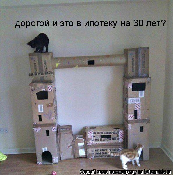 дорогой,и это в ипотеку на 30 лет?... Котоматрица: дорогой,и это в ипотеку на 30 лет?