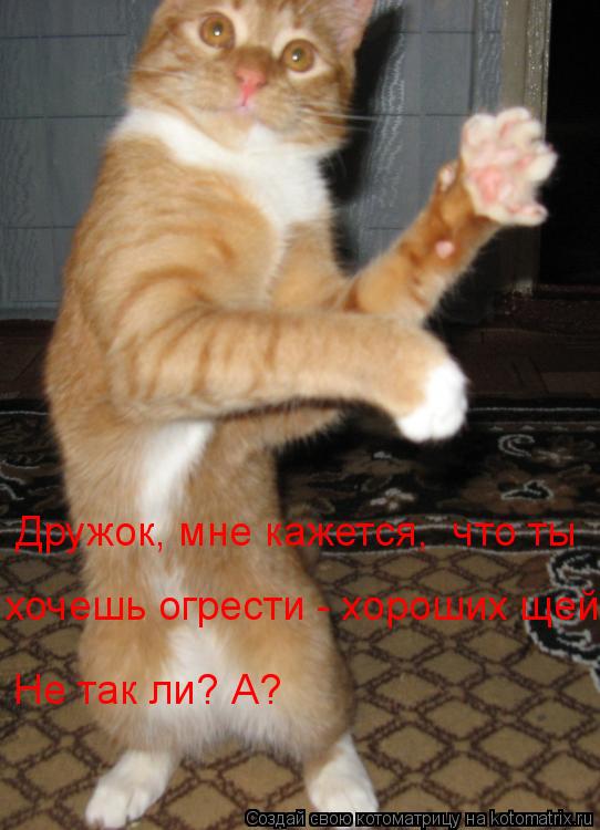 Дружок, мне кажется, что ты хочешь огрести - хороших щей Не так ли? А?... Котоматрица: Дружок, мне кажется, что ты хочешь огрести - хороших щей Не так ли? А?