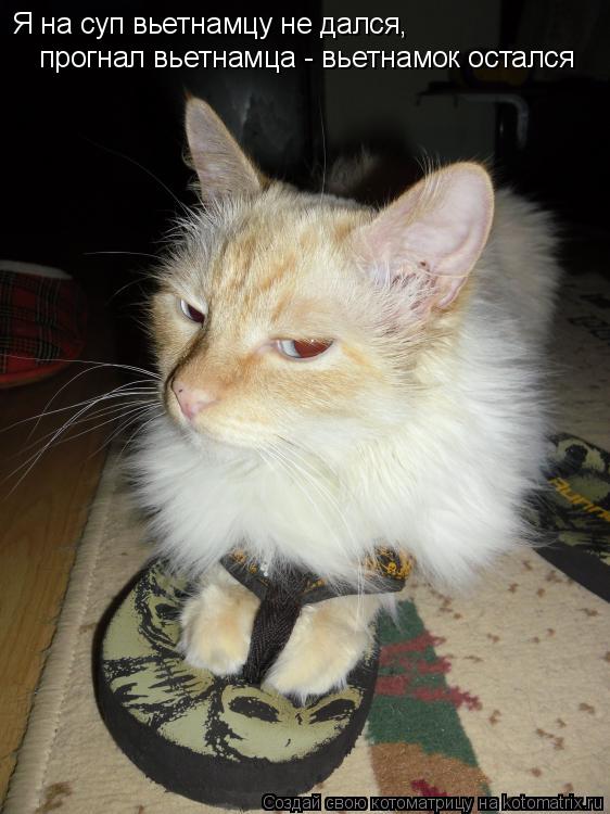 Я на суп вьетнамцу не дался, Я на суп вьетнамцу не дался, прогнал вьетнамца - вьетнамок остался про... Котоматрица: Я на суп вьетнамцу не дался, Я на суп вьетнамцу не дался, прогнал вьетнамца - вьетнамок остался прогнал вьетнамца - вьетнамок остался