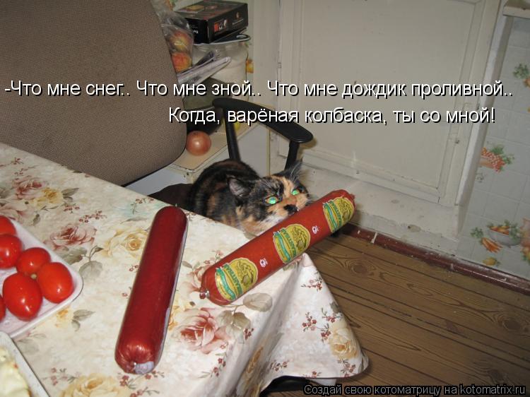 -Что мне снег.. Что мне зной.. Что мне дождик проливной.. Когда, варёная колбаска, ты со мной!... Котоматрица: -Что мне снег.. Что мне зной.. Что мне дождик проливной.. Когда, варёная колбаска, ты со мной!