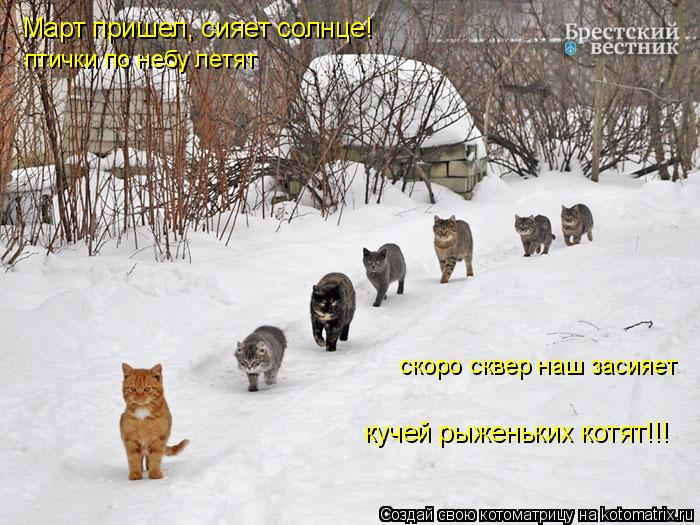 Март пришел, сияет солнце! птички по небу летят скоро сквер наш засияет кучей рыженьких котят!!!... Котоматрица: Март пришел, сияет солнце! птички по небу летят скоро сквер наш засияет кучей рыженьких котят!!!