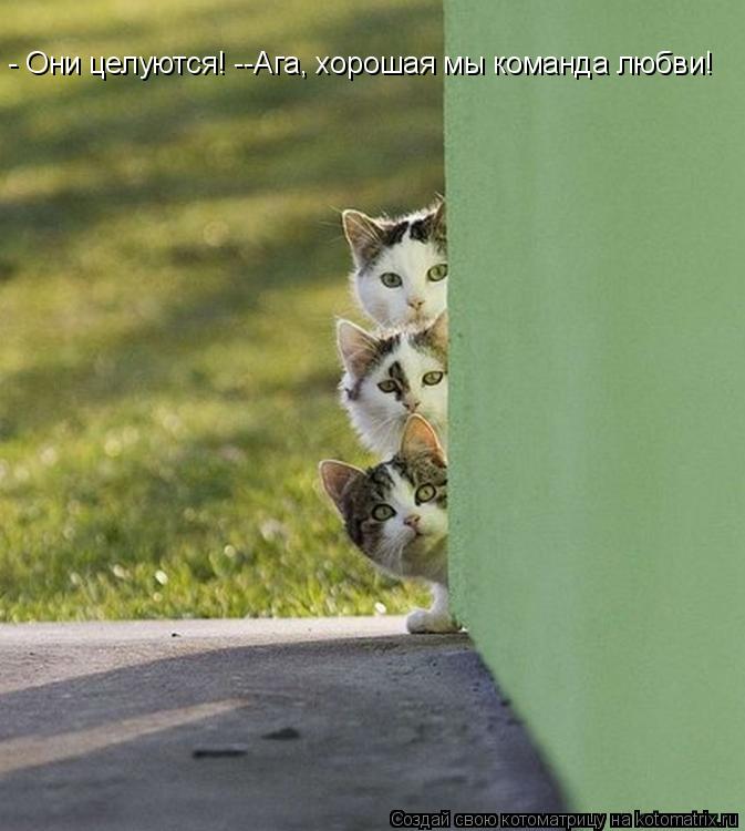 -- Вон видишь они целуются. -- Ага, хорошая мы команда любви - Они целуются! --Ага, хорошая мы команд... Котоматрица: -- Вон видишь они целуются. -- Ага, хорошая мы команда любви - Они целуются! --Ага, хорошая мы команда любви!