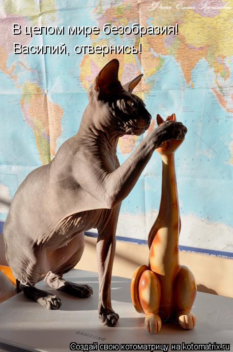 В целом мире безобразия! Василий, отвернись!... Котоматрица: В целом мире безобразия! Василий, отвернись!