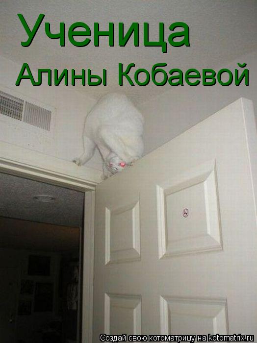 Ученица Алины Кобаевой... Котоматрица: Ученица Алины Кобаевой