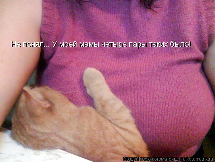 Не понял... У моей мамы четыре пары таких было!... Котоматрица: Не понял... У моей мамы четыре пары таких было!