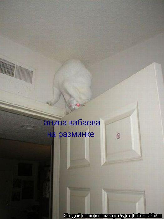 алина кабаева на разминке... Котоматрица: алина кабаева на разминке