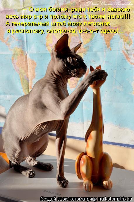 -- О моя богиня, ради тебя я завоюю весь мир-р-р и положу его к твоим ногам!!! А генеральный штаб мои... Котоматрица: -- О моя богиня, ради тебя я завоюю весь мир-р-р и положу его к твоим ногам!!! А генеральный штаб моих легионов я расположу, смотри-ка, в-о-о-т зде