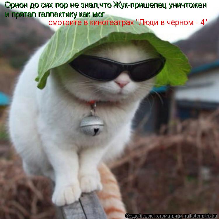 Орион до сих пор не знал,что Жук-пришелец уничтожен и прятал галлактику как мог смотрите в кинотеатра... Котоматрица: Орион до сих пор не знал,что Жук-пришелец уничтожен и прятал галлактику как мог смотрите в кинотеатрах "Люди в чёрном - 4"