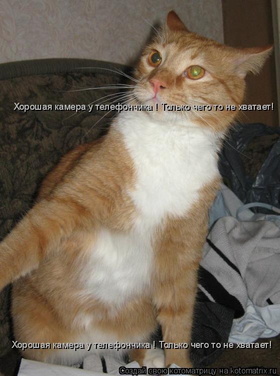 Хорошая камера у телефончика ! Только чего то не хватает! Хорошая камера у телефончика ! Только чего ... Котоматрица: Хорошая камера у телефончика ! Только чего то не хватает! Хорошая камера у телефончика ! Только чего то не хватает!