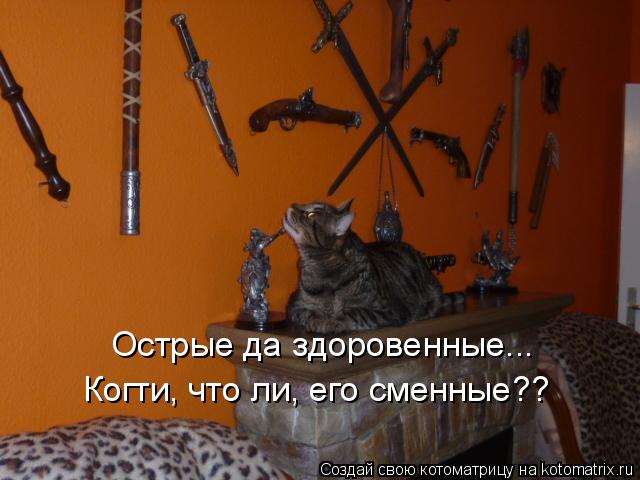Острые да здоровенные... Когти, что ли, его сменные??... Котоматрица: Острые да здоровенные... Когти, что ли, его сменные??