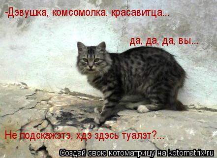 -Дэвушка, комсомолка. красавитца... да, да, да, вы... Не подскажэтэ, хдэ здэсь туалэт?...... Котоматрица: -Дэвушка, комсомолка. красавитца... да, да, да, вы... Не подскажэтэ, хдэ здэсь туалэт?...