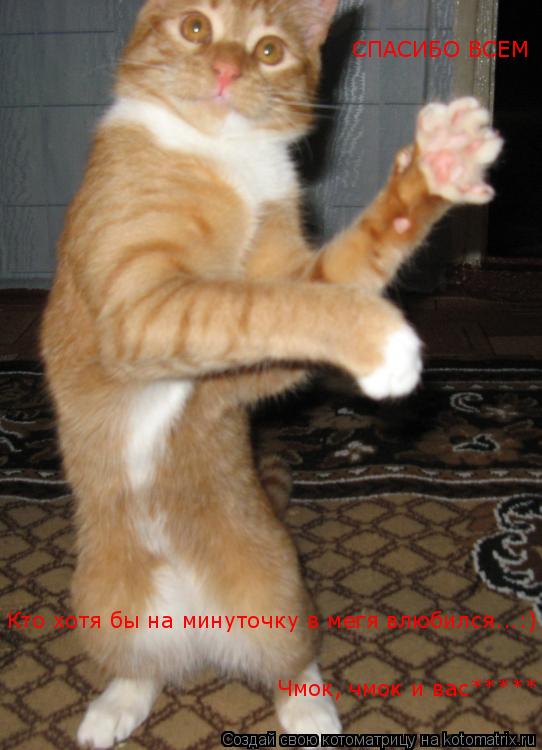 СПАСИБО ВСЕМ Кто хотя бы на минуточку в мегя влюбился...:) Чмок, чмок и вас*****... Котоматрица: СПАСИБО ВСЕМ Кто хотя бы на минуточку в мегя влюбился...:) Чмок, чмок и вас*****