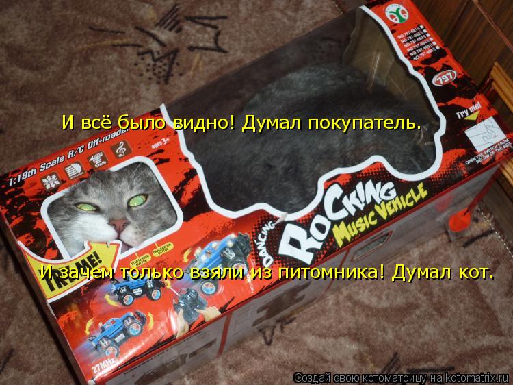 И всё было видно! Думал покупатель. И зачем только взяли из питомника! Думал кот.... Котоматрица: И всё было видно! Думал покупатель. И зачем только взяли из питомника! Думал кот.