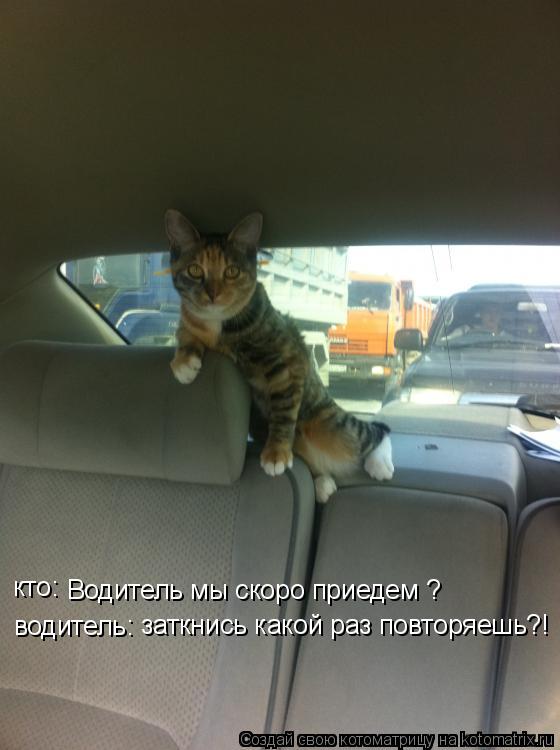 Водитель мы скоро приедем ? кто: водитель: заткнись какой раз повторяешь?!... Котоматрица: Водитель мы скоро приедем ? кто: водитель: заткнись какой раз повторяешь?!