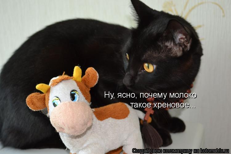 Ну, ясно, почему молоко такое хреновое...... Котоматрица: Ну, ясно, почему молоко такое хреновое...