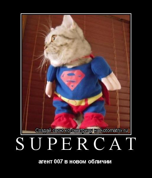 SUPERCAT агент 007 в новом обличии ... Котоматрица: SUPERCAT агент 007 в новом обличии