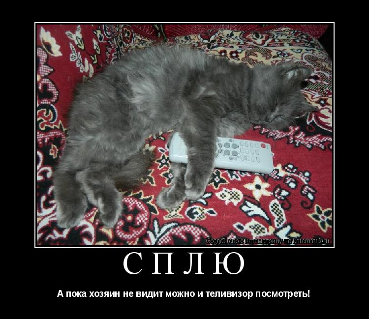 Сплю А пока хозяин не видит можно и теливизор посмотреть!... Котоматрица: Сплю А пока хозяин не видит можно и теливизор посмотреть!